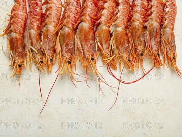Langoustines, Australian, freshly frozen langoustines, on a light background, top view