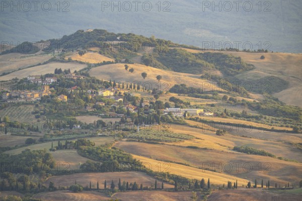 Typical Tuscan landscape in Val d'Orcia with hills, trees, fields, cypresses in autumn at sunset,