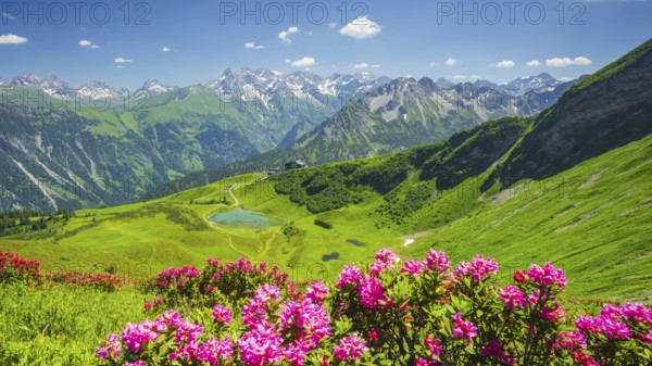Alpenrosenbluete, Panorama from the Fellhorn over the Schlappoldsee and mountain station