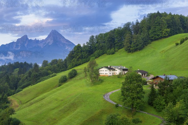 Alpine pasture with houses and forest near Maria Gern, Watzmann, Berchtesgarden Alps,