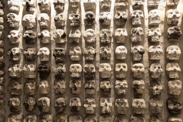 Wall of stone human skulls, archaeological site and museum of Templo Mayor, Mexico City, Mexico,