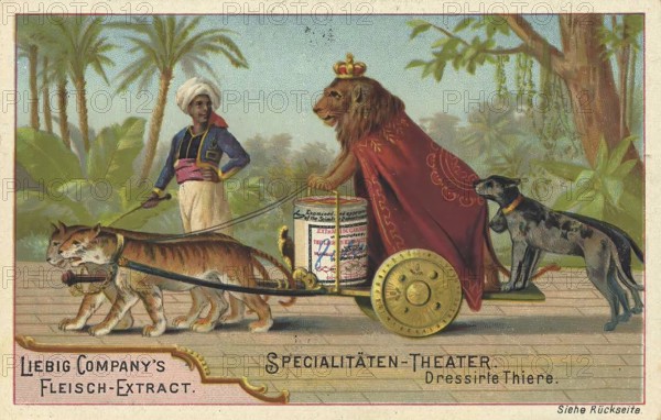 Picture series Specialities Theatre, Dressed Animals, Liebig picture, digitally restored