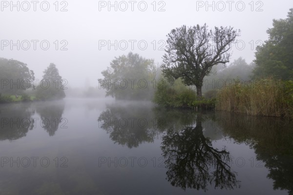 Foggy lake with trees and reflection in the water, quiet and mystical, Talaue, Waiblingen,