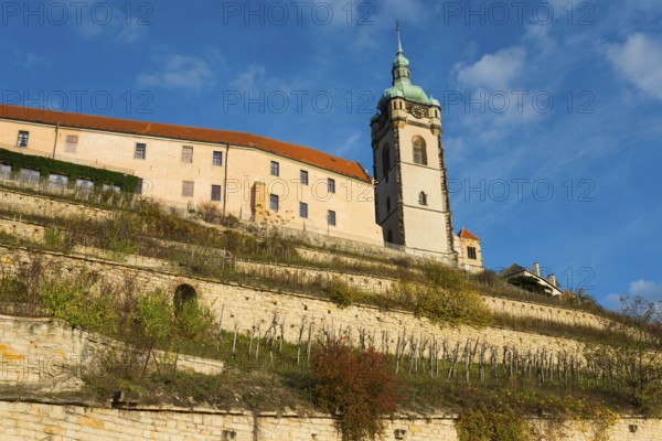 Stone houses and tower on a vineyard under a clear sky on a sunny day, Melnik Castle, Church of St