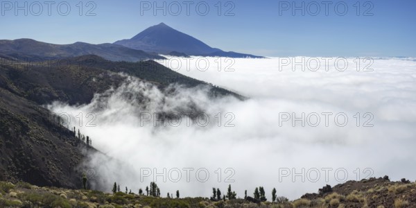 Panorama from east over the Teide National Park, Parque Nacional del Teide, with trade wind clouds,