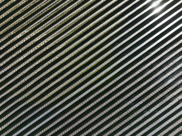 Rows of solar panels at a photovoltaic plant near the town of Espejo. Aerial view. Drone shot.