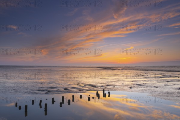 View of a tidal flat in the Wadden Sea at low tide at sunset, National Park, Unesco, World Natural