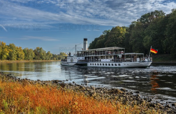 Paddle steamer on the Elbe near Pillnitz, Saxony, Germany, Europe