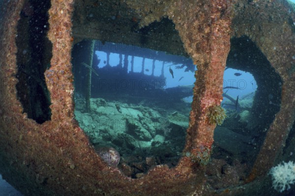 Underwater view of an old shipwreck in deep ocean blue, dive site Wreck of the Condesito, Las