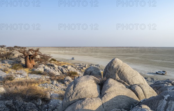 African baobab or baobab tree (Adansonia digitata), between round rocks, at sunrise, with salt pan,