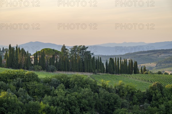 Tuscan landscape next to greve in Chianti and Montefioralle, country estate with vineyards,