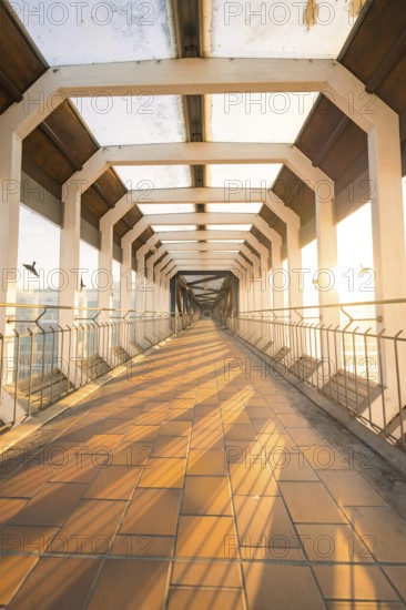 A bright glass corridor illuminated by sunlight, birds flying in the foreground, geometric design,