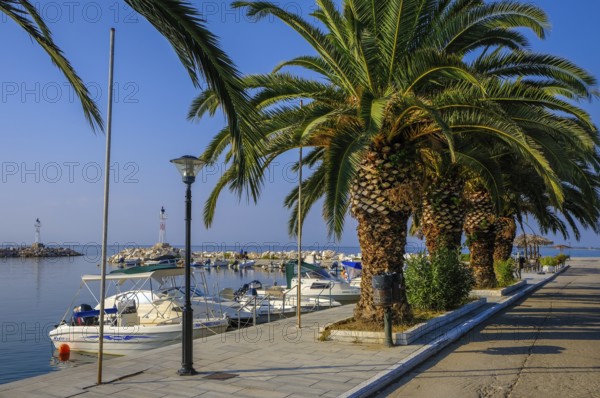 Skala Sotira, Thassos, Greece - Palm trees on the harbour promenade of the small fishing village of