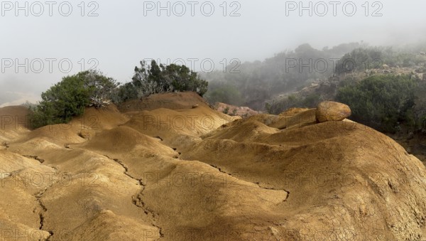 Yellow soil and rocks, erosion, near Arguamul, La Gomera, Canary Islands, Spain, Europe