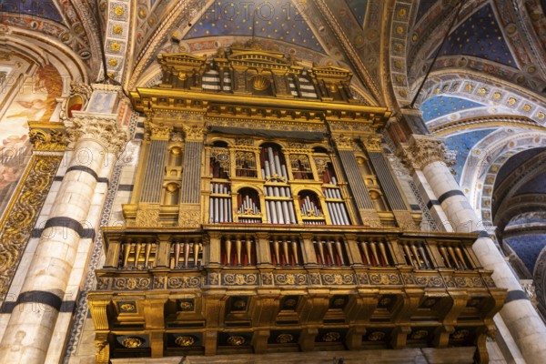 Interior of colorful marble decoration, Siena Cathedral or Cattedrale di Santa Maria Assunta,
