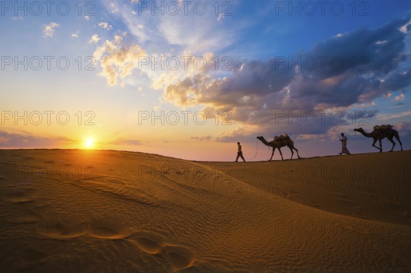 Indian cameleers camel drivers bedouin with camel silhouettes in sand dunes of Thar desert on