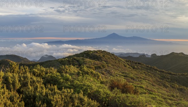 Sunrise, view of Mount Teide from Alto de Garajonay, Tenerife, Garajonay National Park, La Gomera,