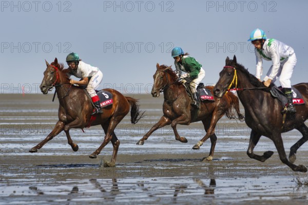 Three riders, horses at a gallop, gallop race in the mudflats, Duhner Wattrennen 2019, Duhnen,
