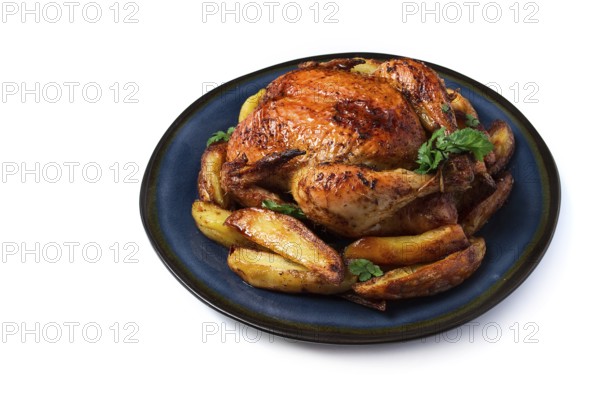 Fried whole chicken, with potatoes, on a white background, no people