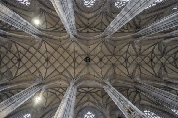 Mesh vault of the late Gothic hall church of St George, Dinkelsbühl, Bavaria, Germany, Europe