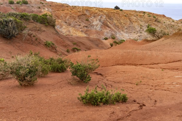 Landscape with red earth at the Mirador de Abrante near Agulo, La Gomera, Canary Islands, Spain,