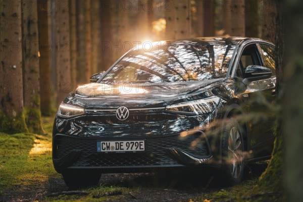 Black car in the forest with sun rays and reflections on the surface, car sharing vehicle Deer