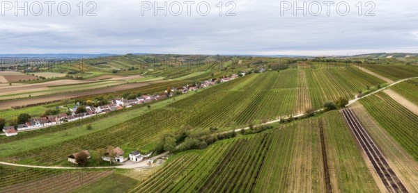 Aerial view, autumn landscape with vineyards, cellar lane, Alberndorf, Pulkautal, Weinviertel,