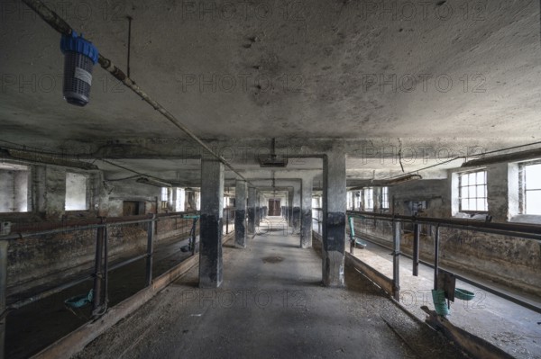 Empty cowshed of a former LPG of the GDR, Mecklenburg-Vorpommern, Germany, Europe