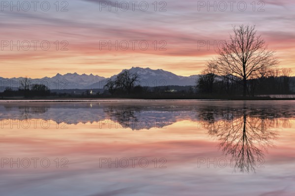 Pilatus reflected in the flooded nature reserve in the evening light, Reussspitz, Hünenberg, Canton