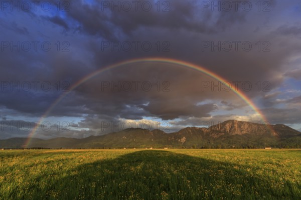 Rainbow, flower meadow, mountains, cloudy mood, evening light, Loisach-Lake Kochel moor, view of