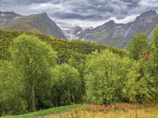 View of the Svartisen glacier and the surrounding mountains, clouds, Saltfjellet Svartisen National
