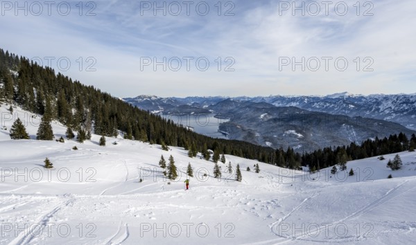 Ski tourers climbing Simetsberg, view of Walchensee, Estergebirge, Bavarian Prealps, Bavaria