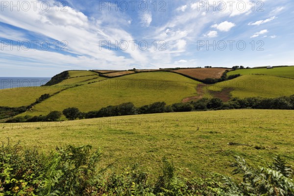 Hilly landscape with fields, meadows, hedges by the sea, spring clouds in summer, Cirrus, Cornwall,