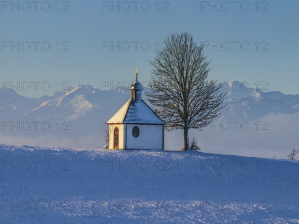 Chapel, tree, morning light, winter, snow, mountain landscape, near Riegsee, behind Zugspitze,