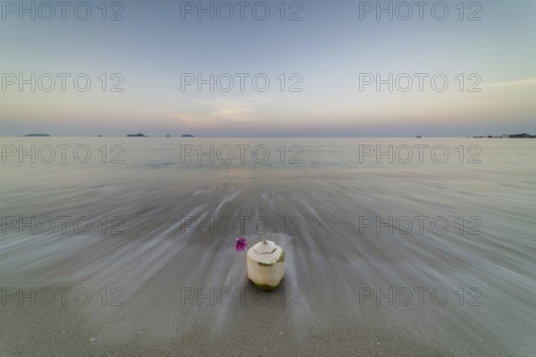 Coconut at sunrise on the beach, Koh Changi Island, Andaman Sea, Southern Thailand, Thailand, Asia