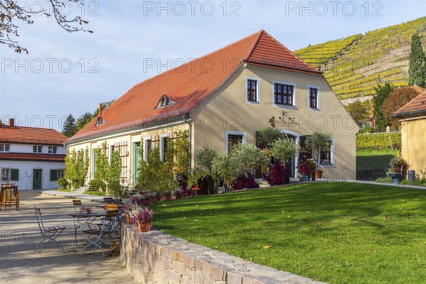 Press house of Hoflößnitz, Oberlößnitz, Radebeul, Saxony, Germany, Europe