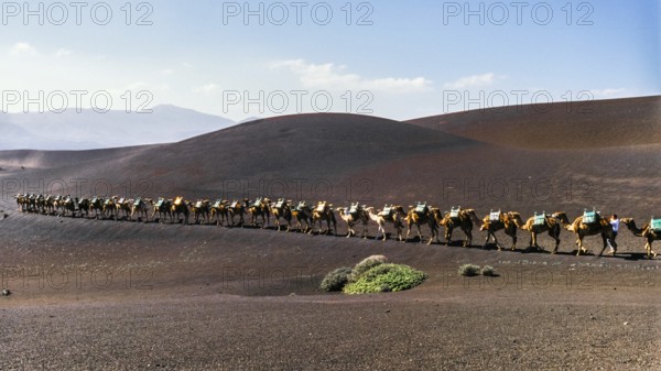 2016, Timanfaya National Park, Lanzarote, Fire Mountains of Timanfaya National Park, Montanas del