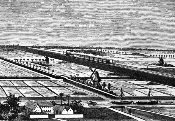 In the polders of Holland, agriculture on the fertile soils of the marshes, farm, windmill,