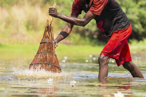 Fisherman catching fish with a basket in the river with pushing down the wide basket into the water