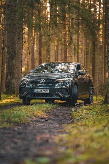 Car on a forest path at sunrise, surrounded by lively foliage, car sharing vehicle Deer Mobility,