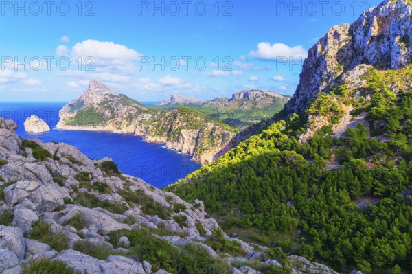 Formentor cape, Mallorca, Balearic Islands, Spain, Europe
