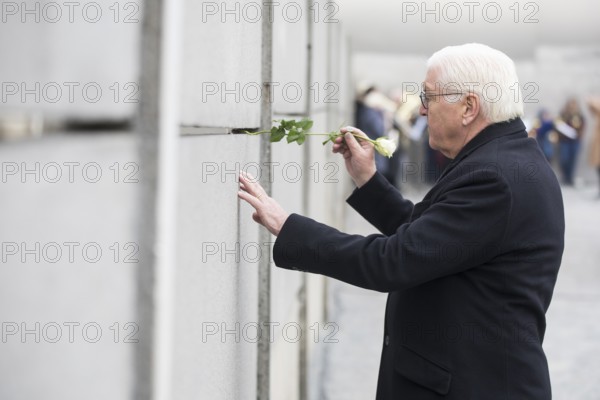 Frank-Walter Steinmeier (President of the Federal Republic of Germany) sticks a rose into the Wall