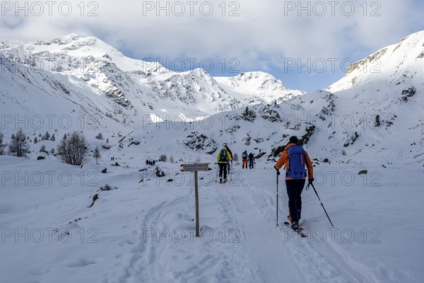 Ski tourers, behind the summit of Monte Cevedale, snow-covered mountain landscape, Ortler Alps,