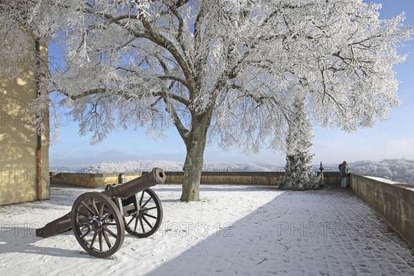 Medieval cannon with chariot wheels in winter, snow, frost, hoarfrost, Hellenstein Castle,