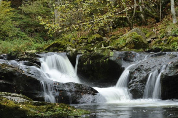 Gentle waterfall in a green, wooded valley with rocks and foliage, Buchberger Leite, Bavarian