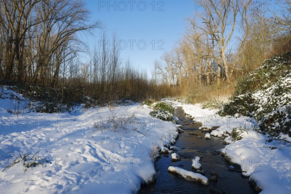 Bochum, North Rhine-Westphalia, Germany - Sunny winter landscape in the Ruhr area, ice and snow on