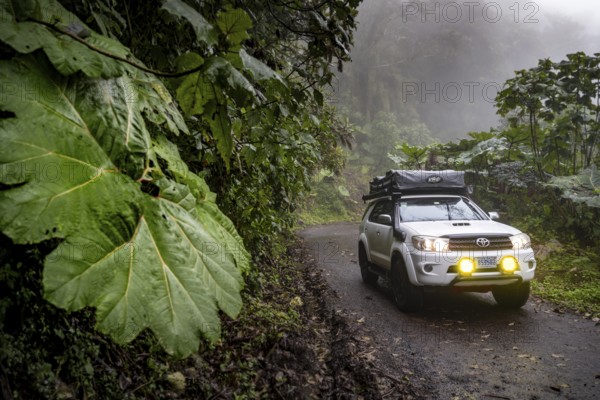 Off-road vehicle in the fog during rain, with fog lights on a narrow road, dense vegetation with