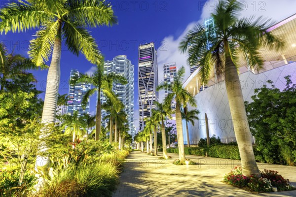 Miami skyline with skyscrapers at Maurice A. Ferré Park at night in Miami, USA, North America