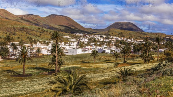 2016, Haria, Lanzarote, Haria, ESP, Spain, Canary Islands, Canary Islands, Atlantic Ocean,