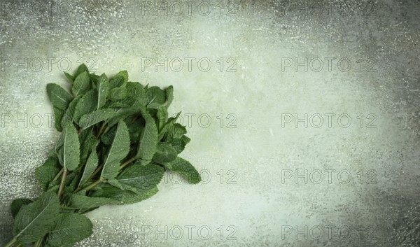 A bunch of vibrant green mint leaves lies on a textured gray surface, ready for use in cooking or